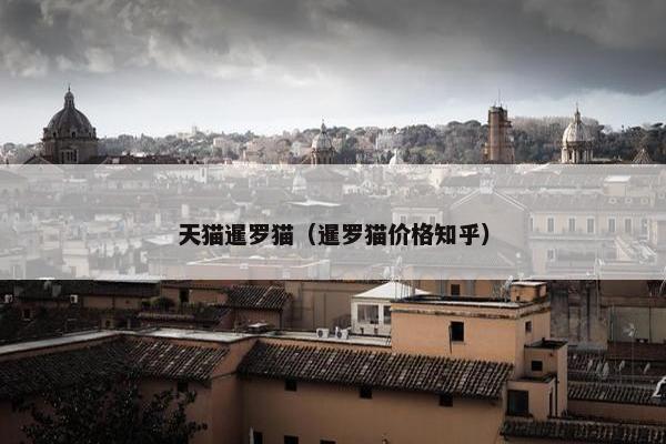 天猫暹罗猫（暹罗猫价格知乎）