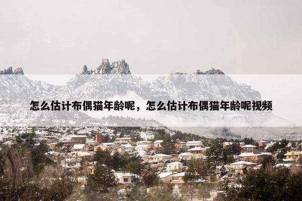 怎么估计布偶猫年龄呢，怎么估计布偶猫年龄呢视频