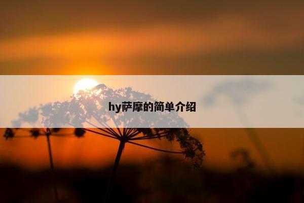 hy萨摩的简单介绍