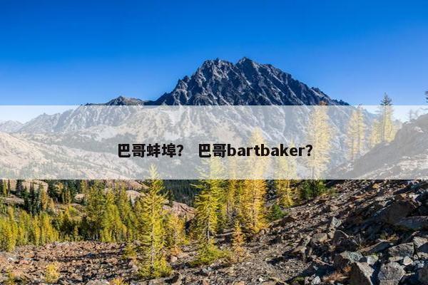 巴哥蚌埠? 巴哥bartbaker?