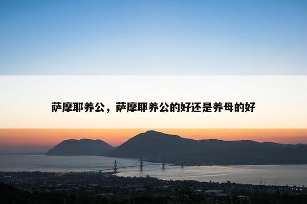 萨摩耶养公,萨摩耶养公的好还是养母的好