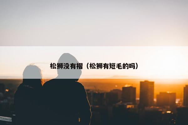 松狮 第18页