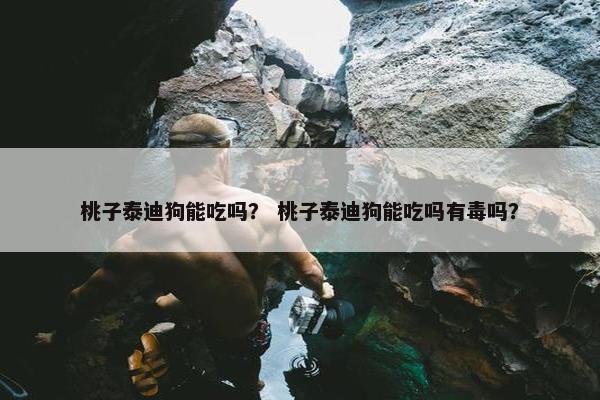 桃子泰迪狗能吃吗？ 桃子泰迪狗能吃吗有毒吗？