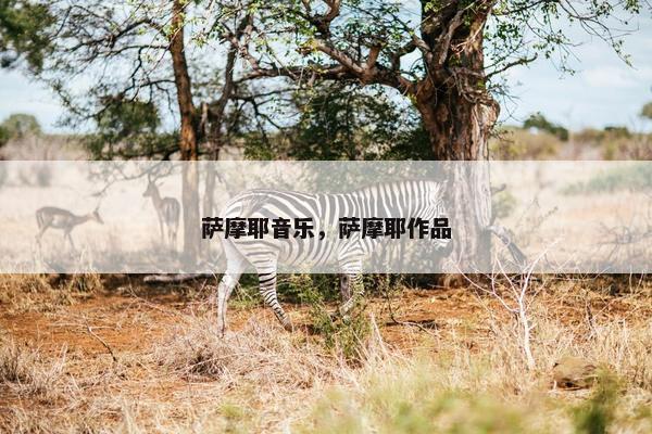 萨摩耶音乐，萨摩耶作品
