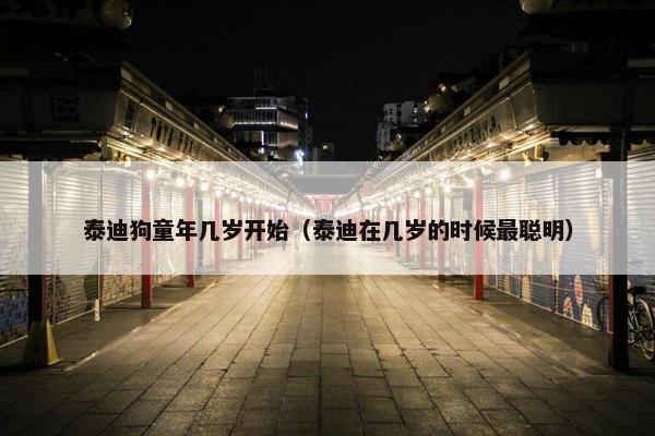 泰迪狗童年几岁开始（泰迪在几岁的时候最聪明）