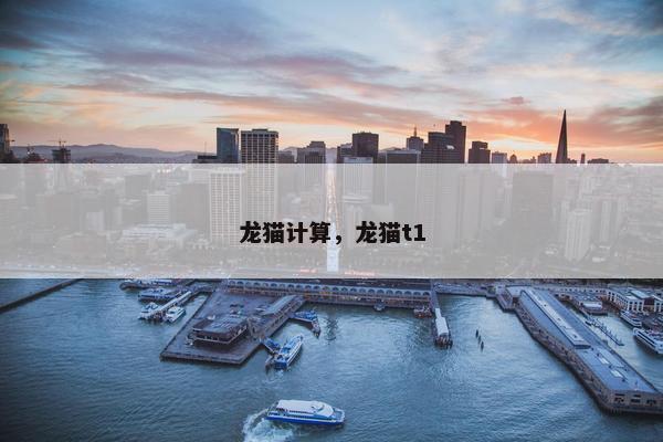 龙猫计算，龙猫t1