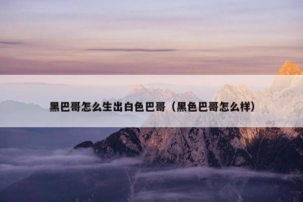 黑巴哥怎么生出白色巴哥（黑色巴哥怎么样）
