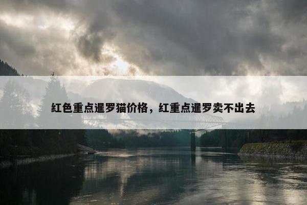 红色重点暹罗猫价格，红重点暹罗卖不出去