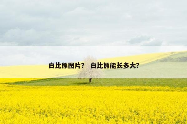 白比熊图片? 白比熊能长多大?
