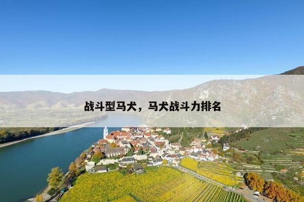 战斗型马犬，马犬战斗力排名