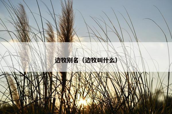 边牧别名（边牧叫什么）