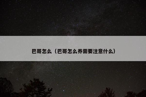 巴哥怎么（巴哥怎么养需要注意什么）
