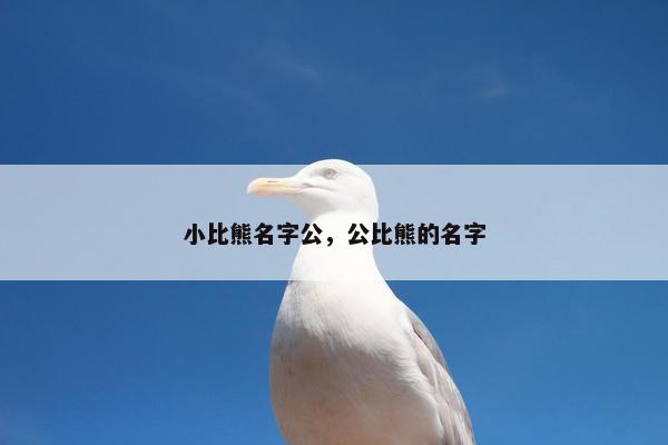 小比熊名字公，公比熊的名字