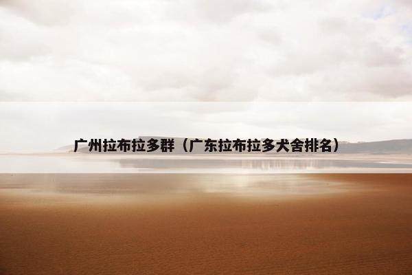 广州拉布拉多群（广东拉布拉多犬舍排名）