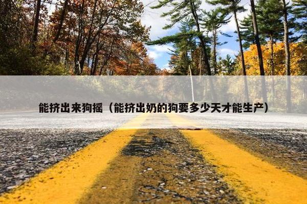 能挤出来狗摇（能挤出奶的狗要多少天才能生产）