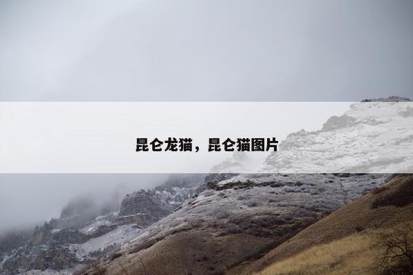 昆仑
