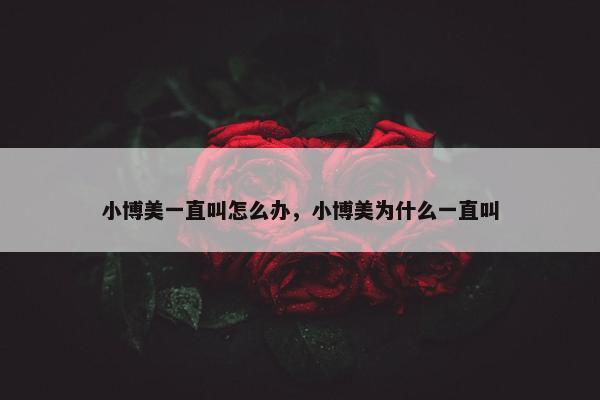 小博美一直叫怎么办,小博美为什么一直叫