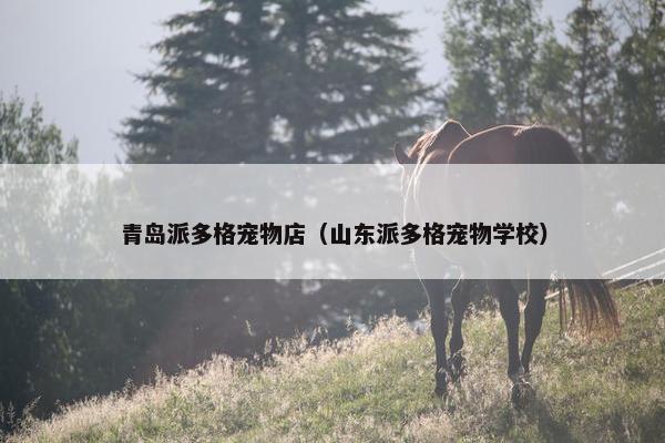 青岛派多格宠物店(山东派多格宠物学校)