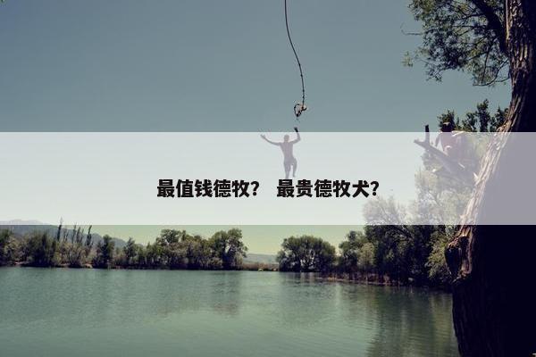 最值钱德牧？ 最贵德牧犬？