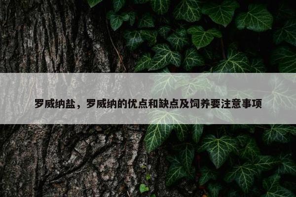 罗威纳盐，罗威纳的优点和缺点及饲养要注意事项