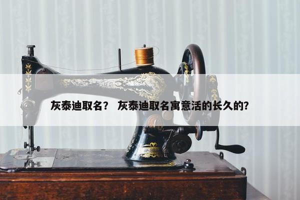 灰泰迪取名？ 灰泰迪取名寓意活的长久的？