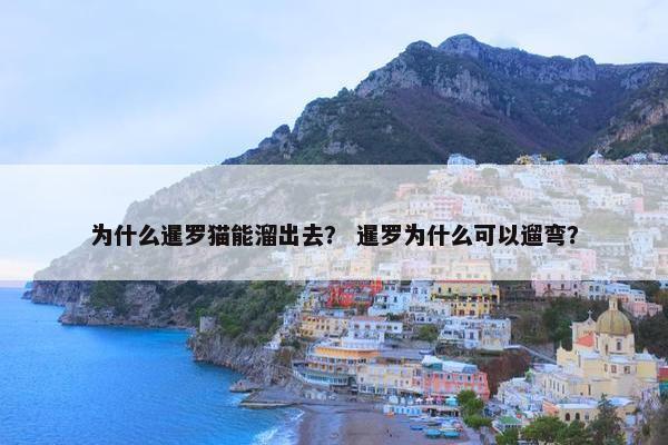 为什么暹罗猫能溜出去？ 暹罗为什么可以遛弯？