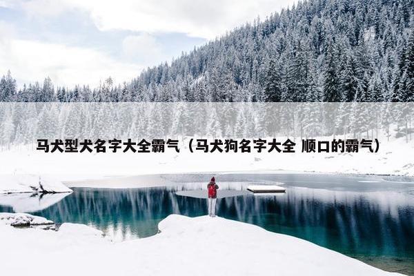 马犬型犬名字大全霸气（马犬狗名字大全 顺口的霸气）