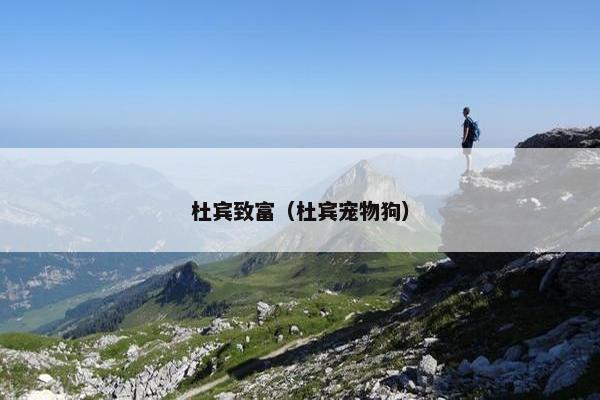 杜宾致富（杜宾宠物狗）