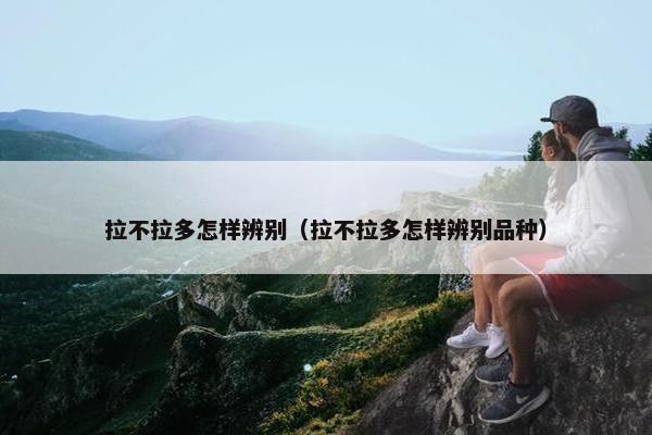 拉不拉多怎样辨别（拉不拉多怎样辨别品种）