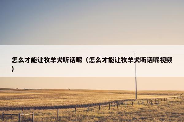 怎么才能让牧羊犬听话呢（怎么才能让牧羊犬听话呢视频）