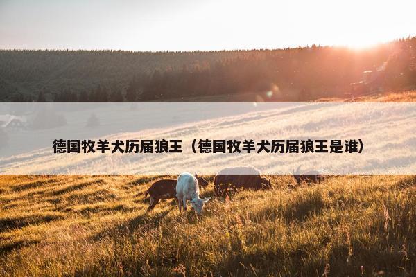 德国牧羊犬历届狼王（德国牧羊犬历届狼王是谁）