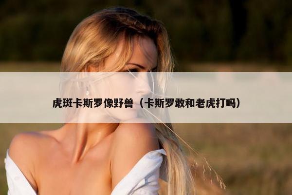 虎斑卡斯罗像野兽(卡斯罗敢和老虎打吗)
