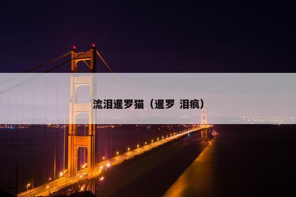 流泪暹罗猫（暹罗 泪痕）