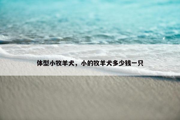 体型小牧羊犬，小的牧羊犬多少钱一只