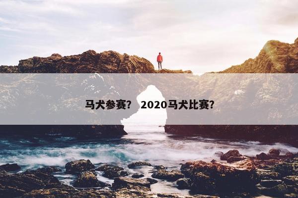 马犬参赛？ 2020马犬比赛？
