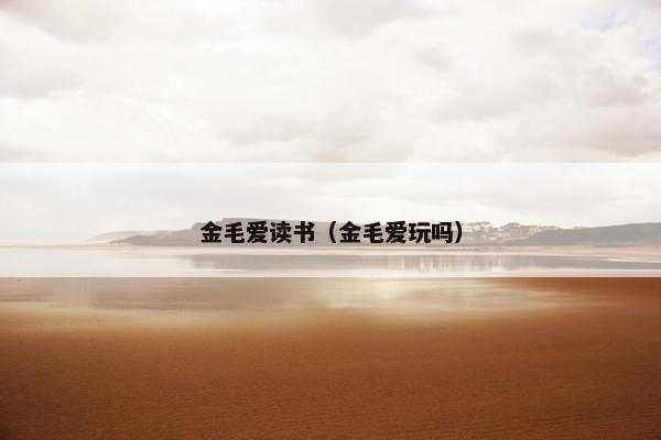 金毛爱读书（金毛爱玩吗）