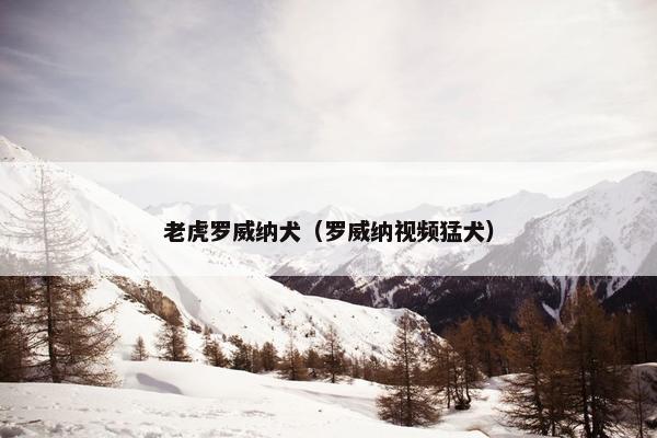 老虎罗威纳犬（罗威纳视频猛犬）