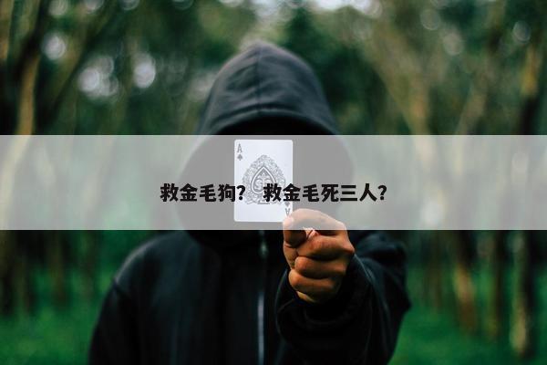 救金毛狗？ 救金毛死三人？