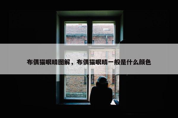 布偶猫眼睛图解，布偶猫眼睛一般是什么颜色
