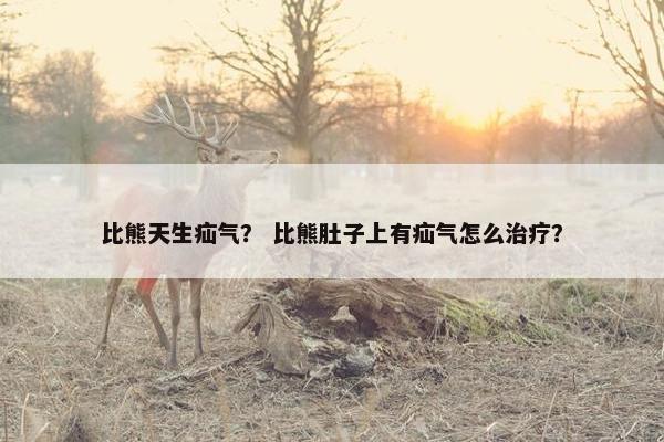 比熊天生疝气？ 比熊肚子上有疝气怎么治疗？