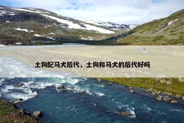 土狗配马犬后代,土狗和马犬的后代好吗