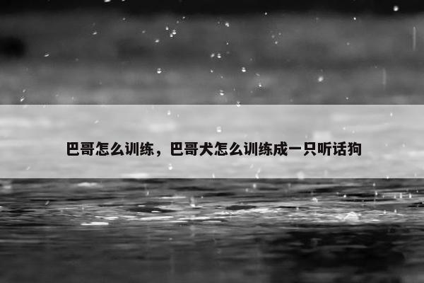 巴哥怎么训练，巴哥犬怎么训练成一只听话狗