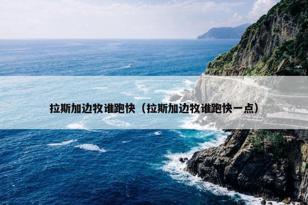 拉斯加边牧谁跑快（拉斯加边牧谁跑快一点）