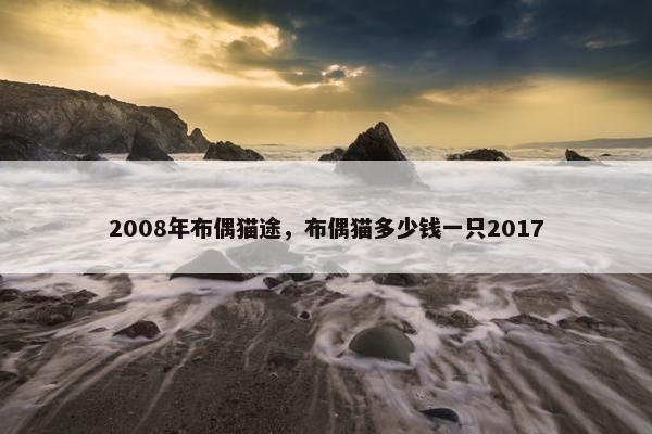 2008年布偶猫途，布偶猫多少钱一只2017