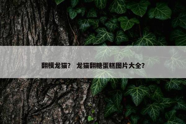 翻模龙猫？ 龙猫翻糖蛋糕图片大全？