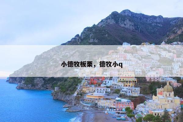 小德牧板栗，德牧小q