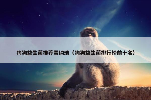狗狗益生菌推荐雪纳瑞（狗狗益生菌排行榜前十名）