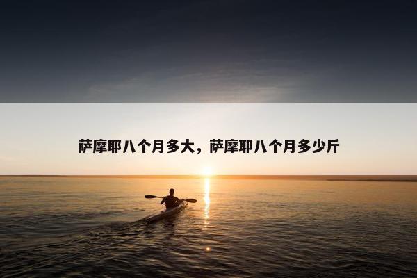 萨摩耶八个月多大，萨摩耶八个月多少斤