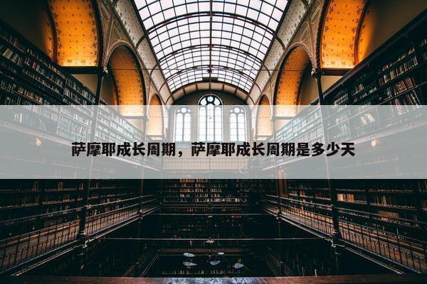 成长期