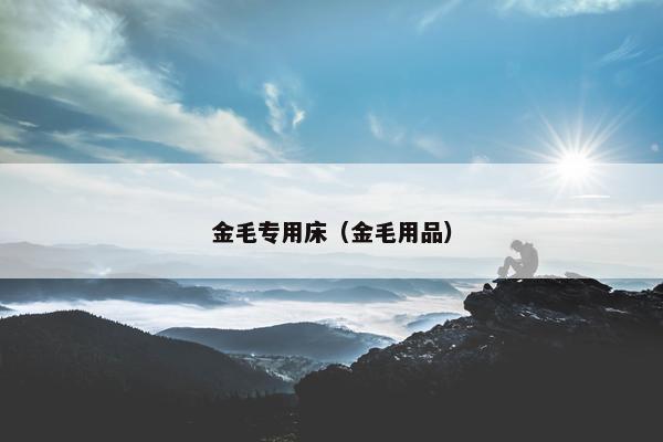 金毛专用床（金毛用品）